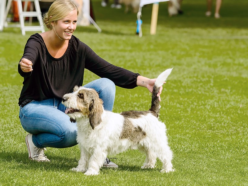 Mer om Nordic Dog Show