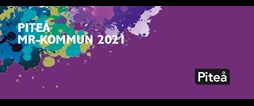 Piteå satar på att vara MR-kommun år 2021.