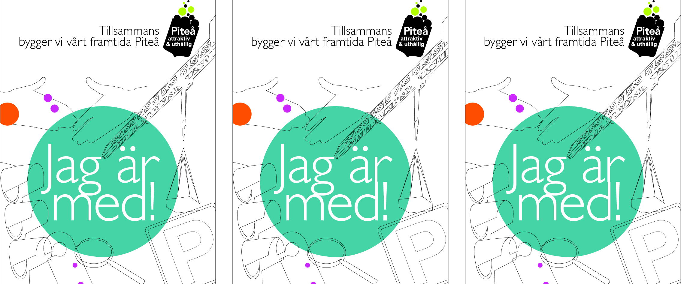 Jag är med i det gemensamma arbetet för Piteå och det här ska jag göra: