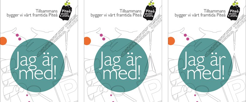 Jag är med i det gemensamma arbetet för Piteå och det här ska jag göra: