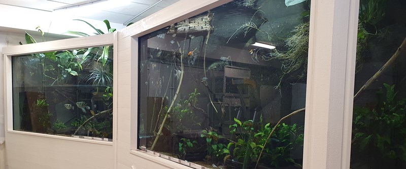 Akvarierummet