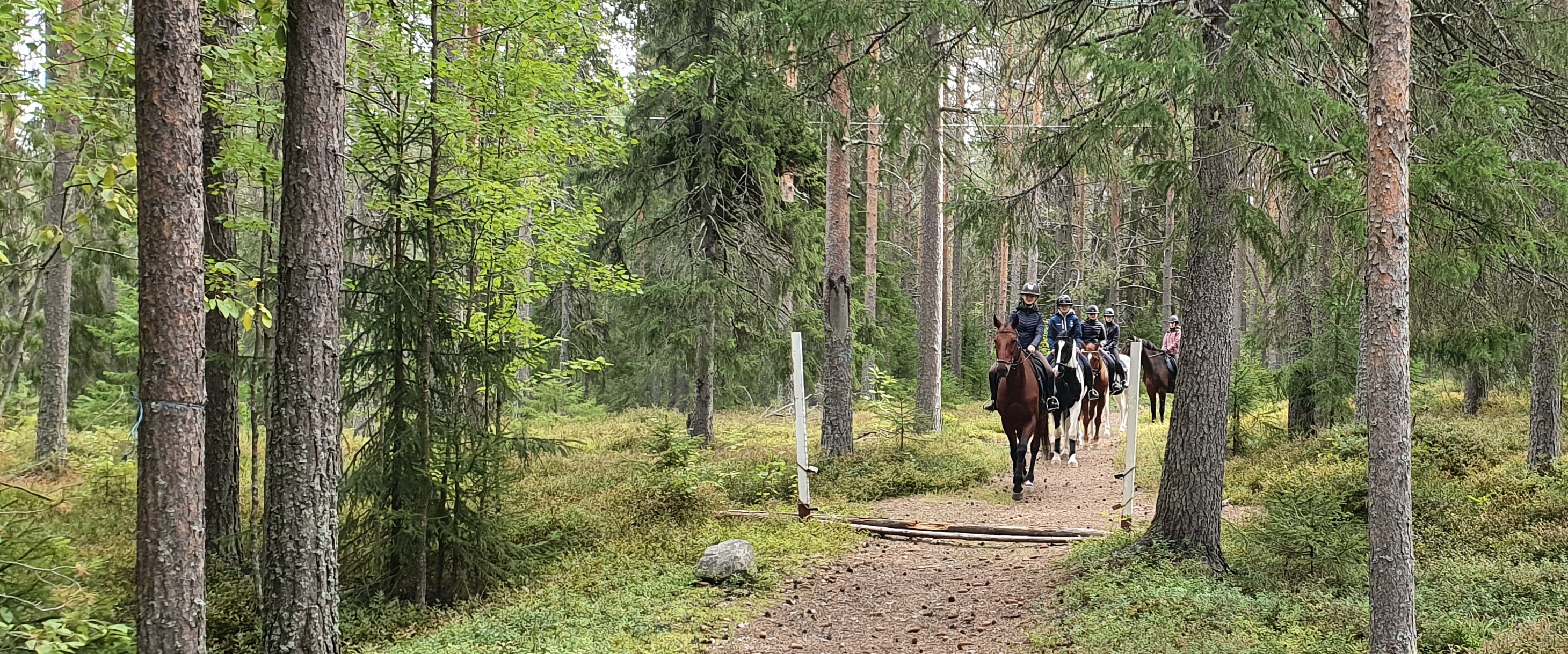 I skogen finns mysiga ridvägar