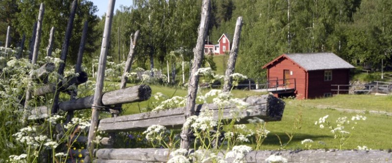 Piteå har en levande landsbygd