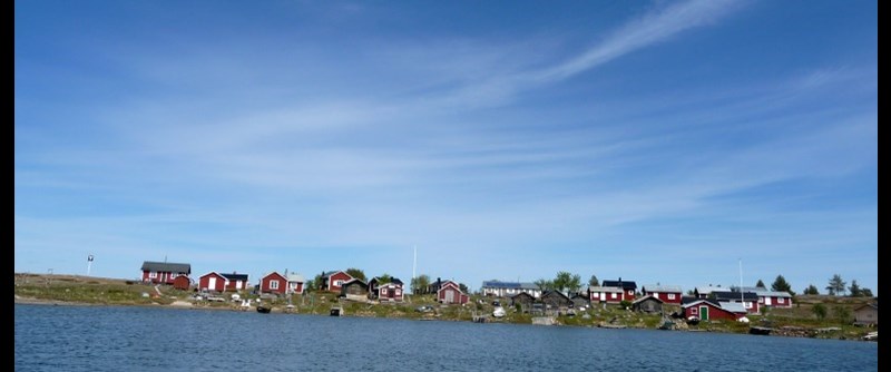 Stor-Räbben