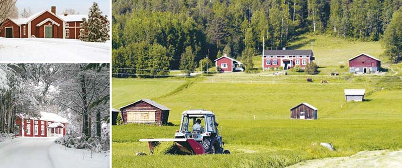 Landsbygdens traditionella hus byggda under 1700 - och 1800 – talen.