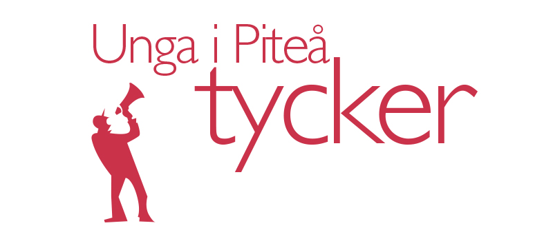 Ungas åsikter - ett viktigt perspektiv i utvecklingsarbetet