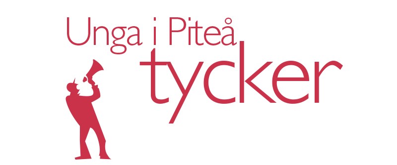 Ungas åsikter - ett viktigt perspektiv i utvecklingsarbetet
