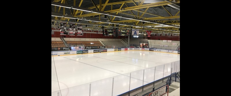 LF Arena 
