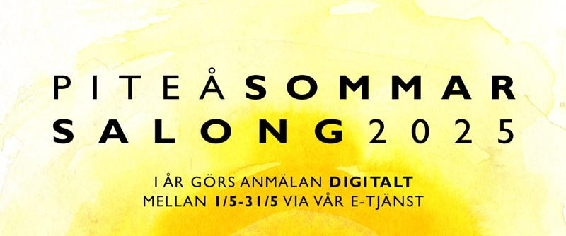 Sommarsalong 2025
