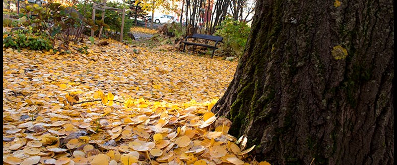 Källboparken