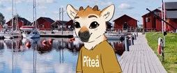 Robin är Piteås senaste tillskott i maskotfamiljen - barnet till de populära renarna Rejne och Renée. 