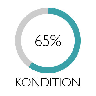 Illustration i form av cirkel som visar Kondition 65%