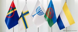 De nationella minoriteternas flaggor