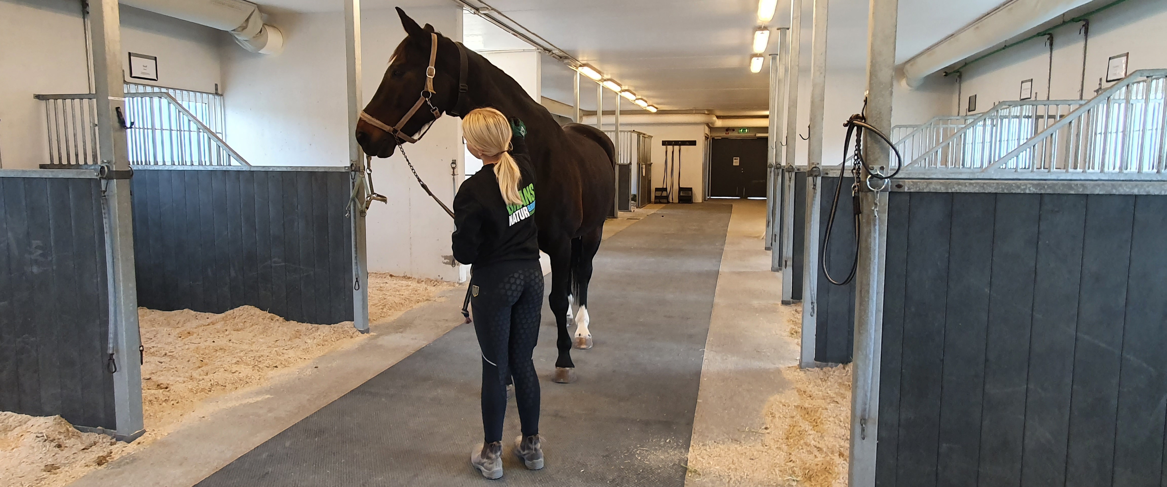 Grans Naturbruksgymnasium tillsammans med Piteå ridklubb utbildar framtidens hästskötare!