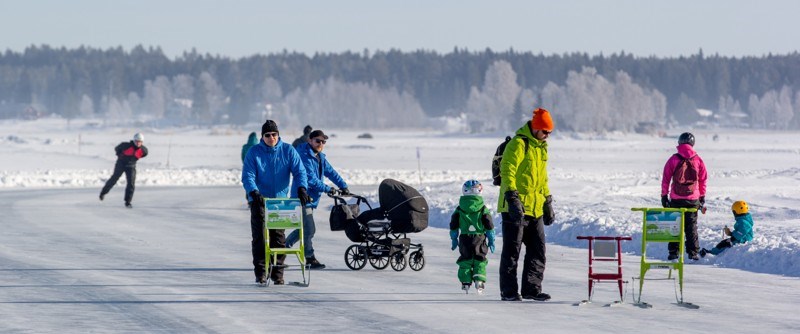 Piteå Ice Arena - a popular winter activity