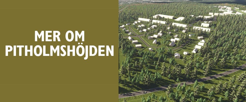 Mer om Pitholmshöjden