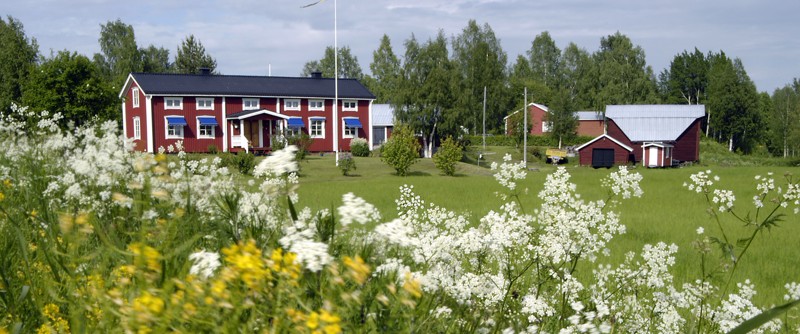 Piteå with surrounding offers a great variety om housing.