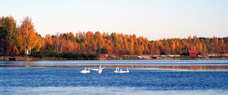 Svensbyfjärden