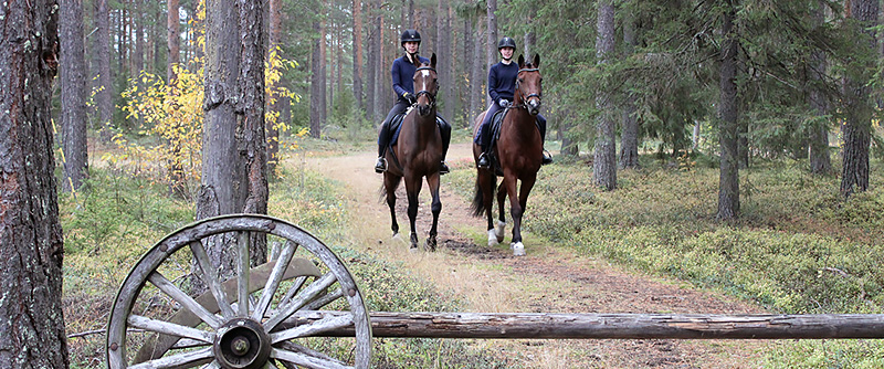 Till häst
