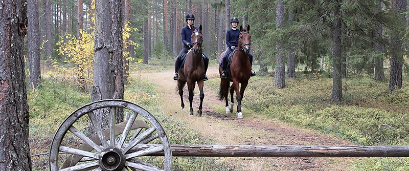 Till häst