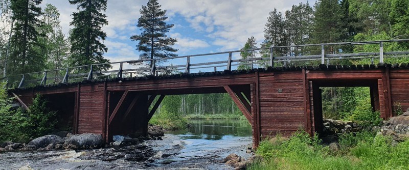 Lillpiteälven – ett framtida fiskevårdområde?