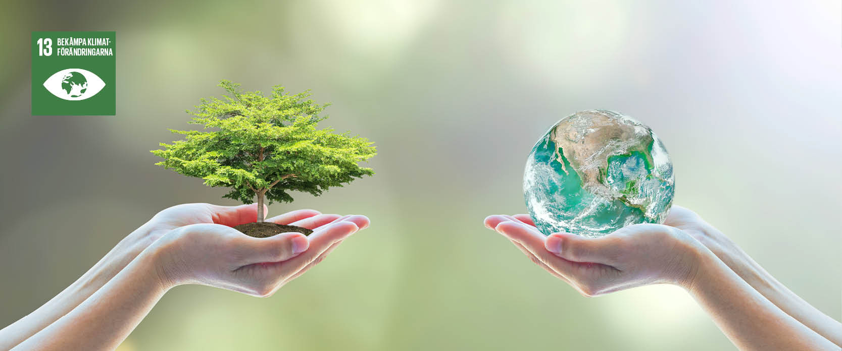 Bekämpa klimatförändringarna