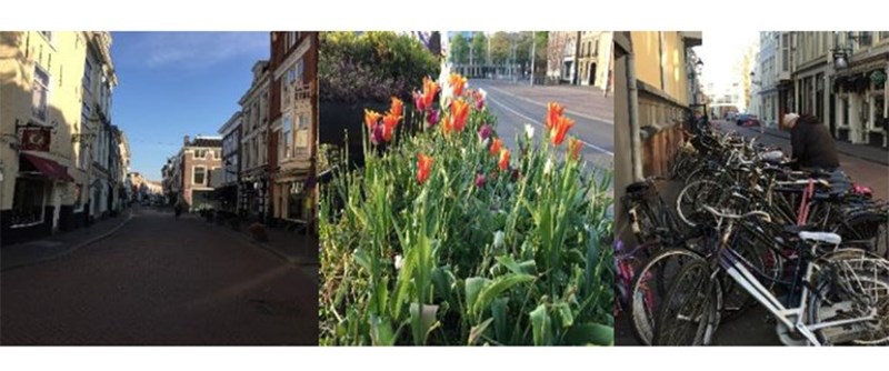 Maj 2017 - Lärresa Mänskliga rättigheter