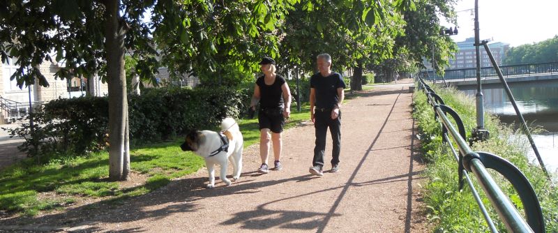 Visa hänsyn, håll hunden kopplad vid promenader.