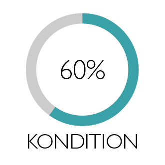 Illustration i form av cirkel som visar Kondition 60%