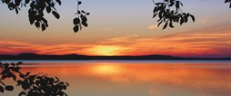 Årets Landsbygdskonferens genomförs i Arjeplog 22-23 oktober.