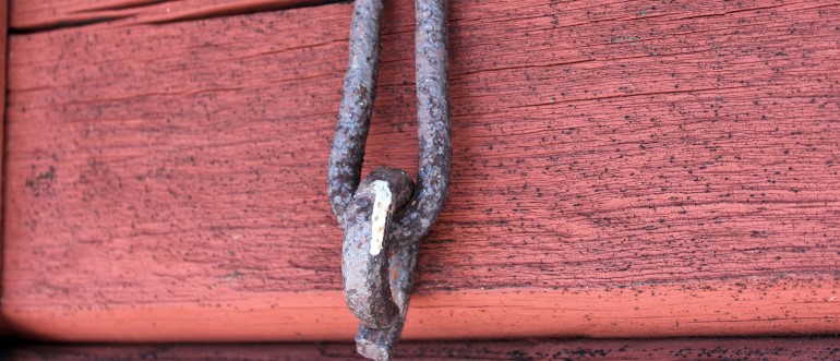 Details in Piteå archipelago