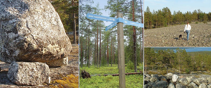 Arkeologistigen i Jävre - Här är spåren efter inlandsisen och forntidens befolkning mycket tydliga.