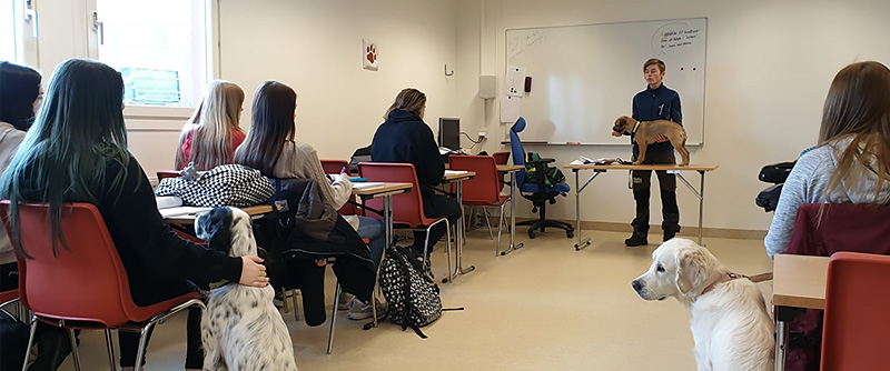 I anslutning till hundstallet finns en lektionssal