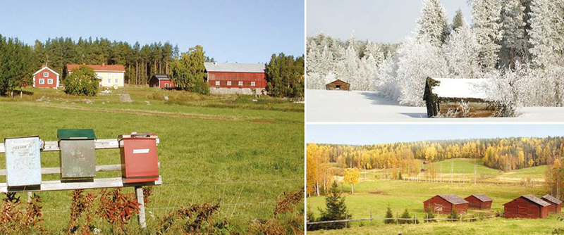 Landsbygdens odlingslandskap med alléer, stengärdesgårdar och lador skapar biologisk mångfald i kulturlandskapet.