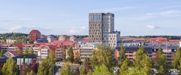 Kommunkoncernens delårsrapport visar ett starkt resultat och befolkningsökning i Piteå.