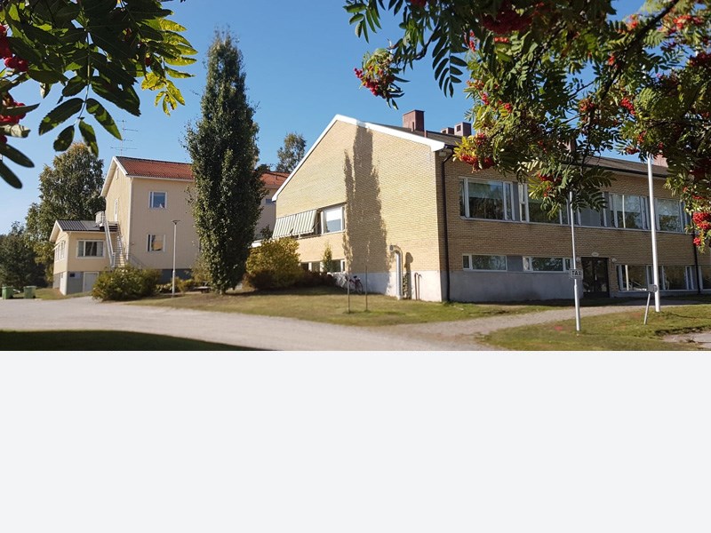 Läs mer om våra utbildningar