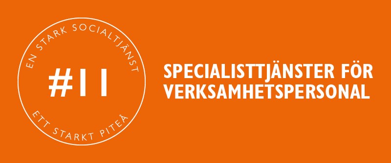 Förbättring nr 11 - Specialisttjänster för verksamhetspersonal