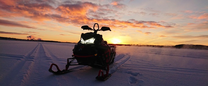Take a snowmobile safari!