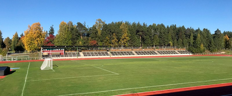 LF Arena gräsplan 